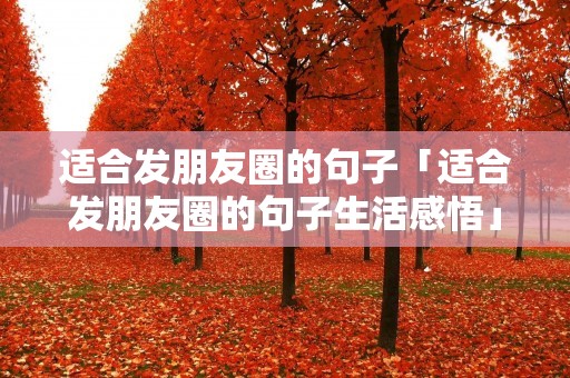 适合发朋友圈的句子「适合发朋友圈的句子生活感悟」 适合发朋友圈的句子「适合发朋友圈的句子生活感悟」