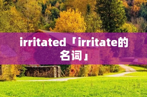 irritated「irritate的名词」