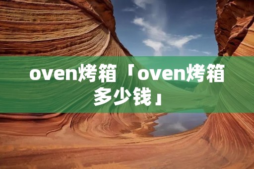 oven烤箱「oven烤箱多少钱」