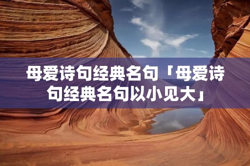母爱诗句经典名句「母爱诗句经典名句以小见大」