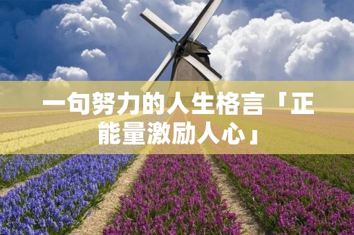 一句努力的人生格言「正能量激励人心」