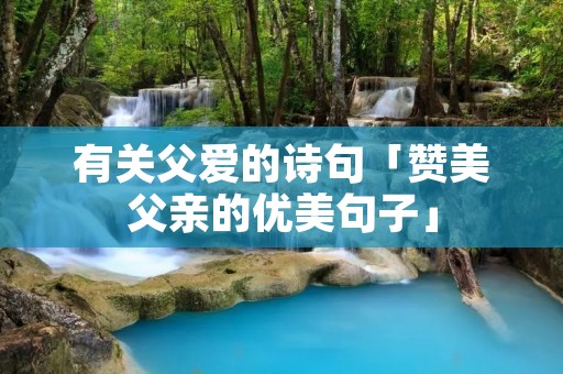 有关父爱的诗句「赞美父亲的优美句子」