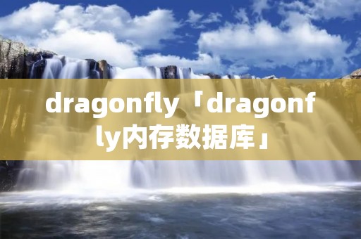 dragonfly「dragonfly内存数据库」