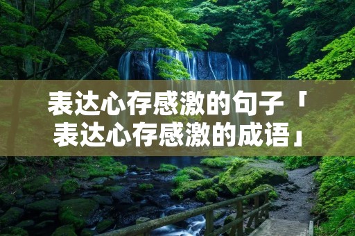 表达心存感激的句子「表达心存感激的成语」