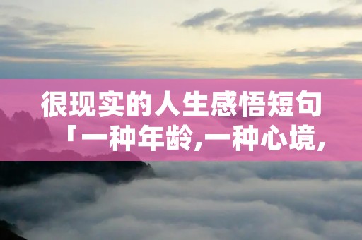很现实的人生感悟短句「一种年龄,一种心境,一种领悟」 很现实的人生感悟短句「一种年龄,一种心境,一种领悟」