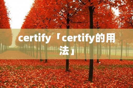 certify「certify的用法」