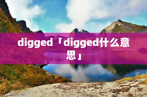 digged「digged什么意思」