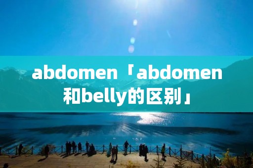 abdomen「abdomen和belly的区别」