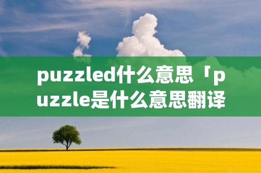 puzzled什么意思「puzzle是什么意思翻译中文翻译」