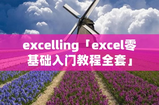 excelling「excel零基础入门教程全套」