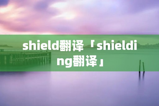 shield翻译「shielding翻译」