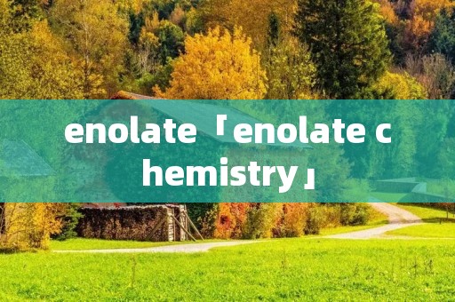 enolate「enolate chemistry」