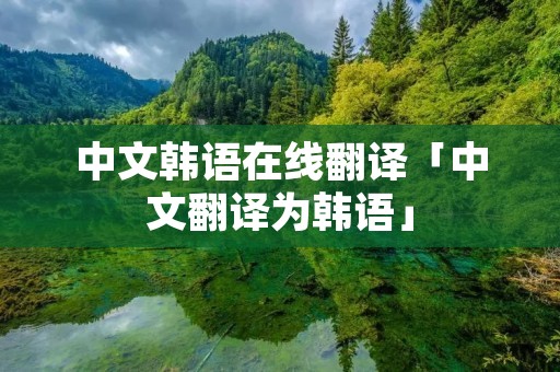 中文韩语在线翻译「中文翻译为韩语」