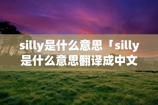 silly是什么意思「silly是什么意思翻译成中文」