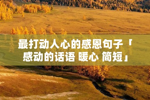 最打动人心的感恩句子「感动的话语 暖心 简短」