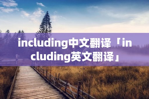 including中文翻译「including英文翻译」