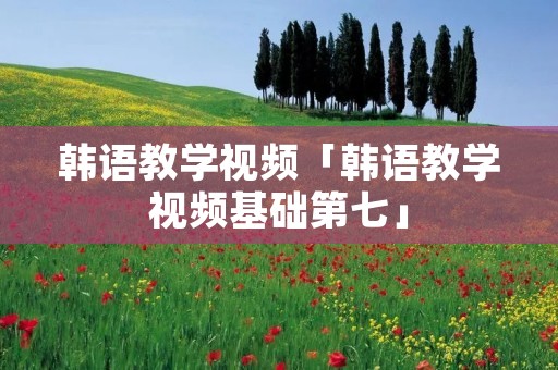 韩语教学视频「韩语教学视频基础第七」