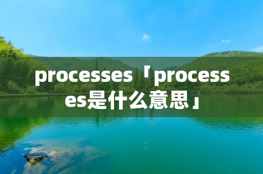 processes「processes是什么意思」