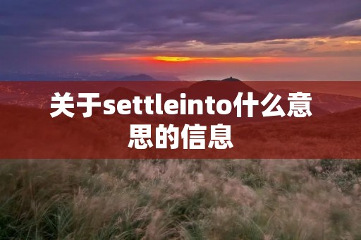 关于settleinto什么意思的信息