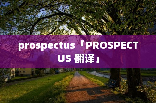 prospectus「PROSPECTUS 翻译」 prospectus「PROSPECTUS 翻译」