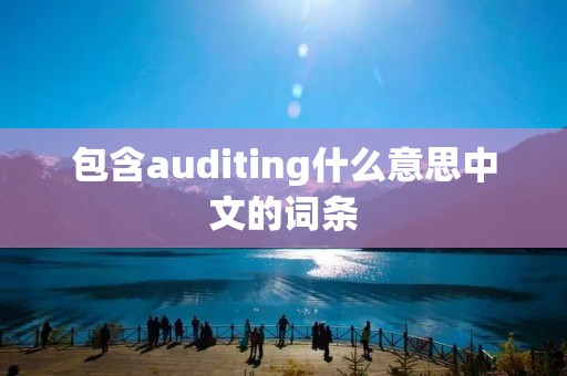 包含auditing什么意思中文的词条