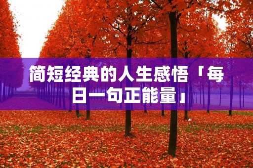 简短经典的人生感悟「每日一句正能量」 简短经典的人生感悟「每日一句正能量」
