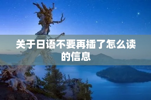 关于日语不要再插了怎么读的信息