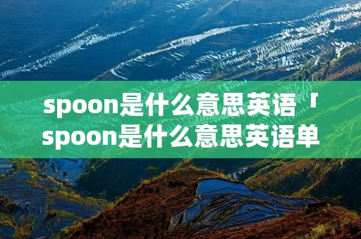 spoon是什么意思英语「spoon是什么意思英语单词」 spoon是什么意思英语「spoon是什么意思英语单词」