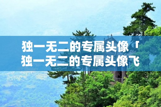 独一无二的专属头像「独一无二的专属头像飞龙图片」