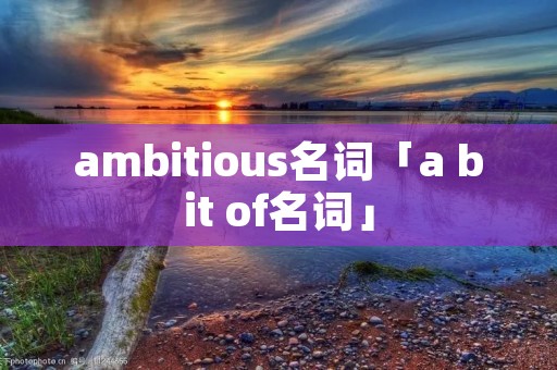 ambitious名词「a bit of名词」