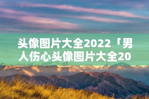 头像图片大全2022「男人伤心头像图片大全2022」