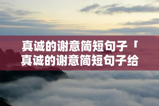 真诚的谢意简短句子「真诚的谢意简短句子给抖音友友感谢的话咋说」