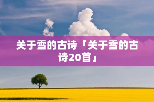 关于雪的古诗「关于雪的古诗20首」