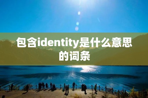 包含identity是什么意思的词条