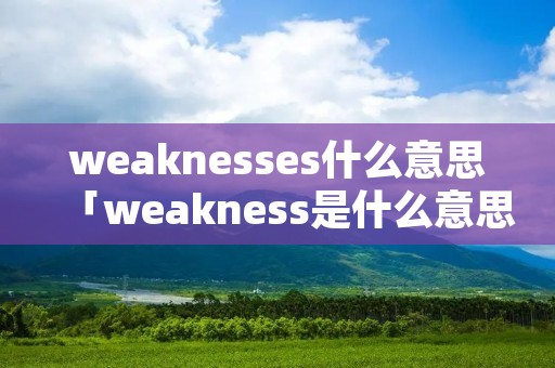 weaknesses什么意思「weakness是什么意思中文」
