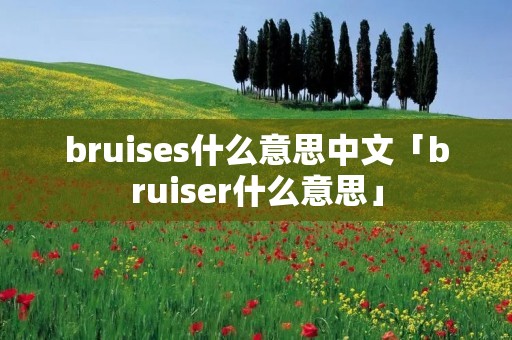 bruises什么意思中文「bruiser什么意思」 bruises什么意思中文「bruiser什么意思」