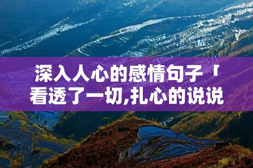 深入人心的感情句子「看透了一切,扎心的说说」