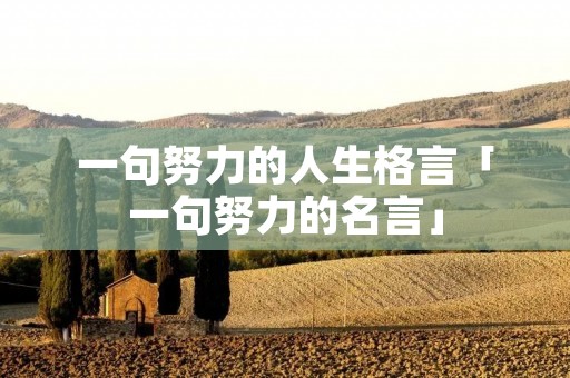 一句努力的人生格言「一句努力的名言」