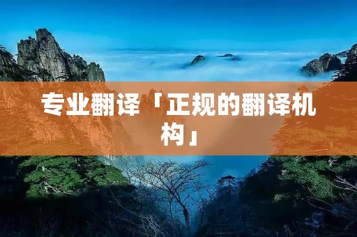 专业翻译「正规的翻译机构」 专业翻译「正规的翻译机构」