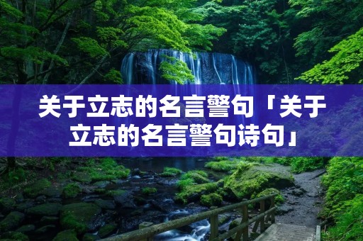 关于立志的名言警句「关于立志的名言警句诗句」