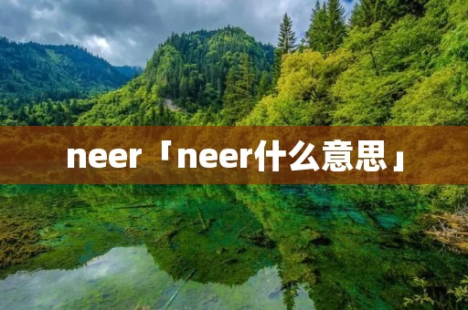 neer「neer什么意思」