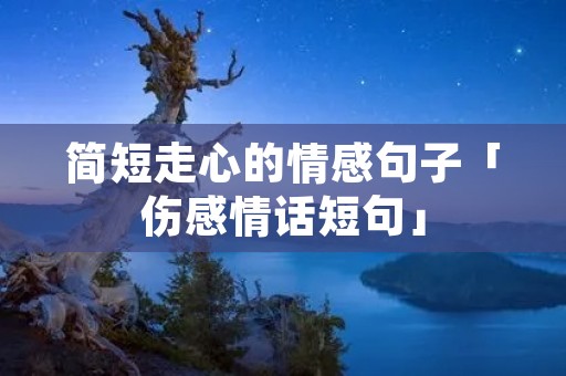 简短走心的情感句子「伤感情话短句」