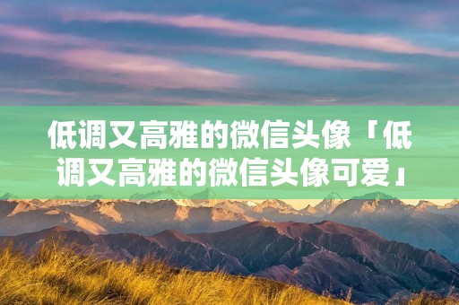 低调又高雅的微信头像「低调又高雅的微信头像可爱」