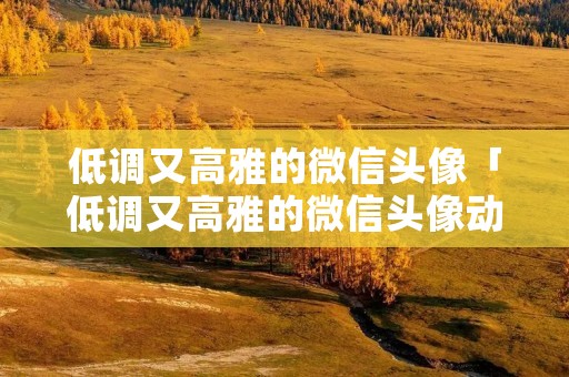 低调又高雅的微信头像「低调又高雅的微信头像动漫男」