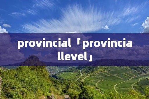 provincial「provinciallevel」