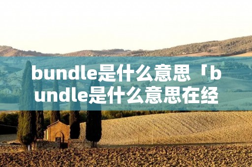 bundle是什么意思「bundle是什么意思在经济」