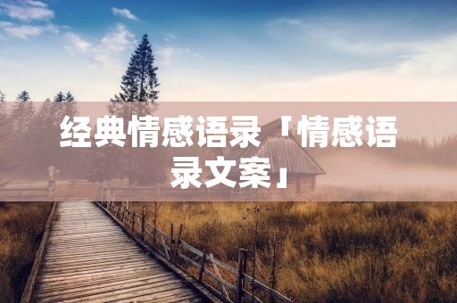 经典情感语录「情感语录文案」