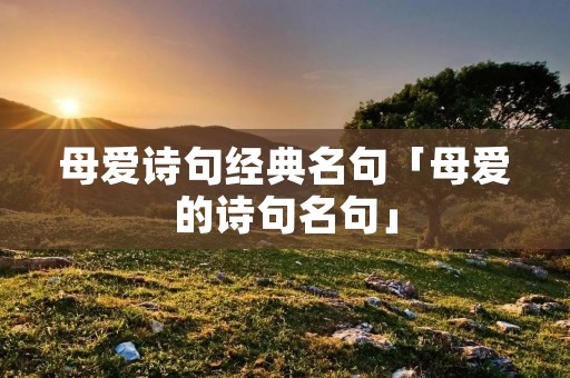 母爱诗句经典名句「母爱的诗句名句」