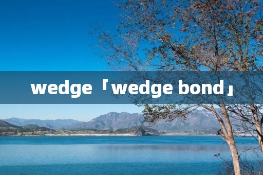 wedge「wedge bond」