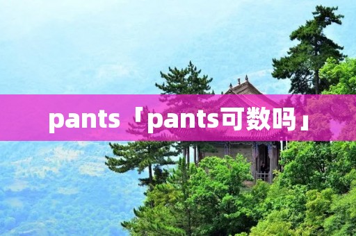 pants「pants可数吗」